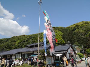 DSCN7713