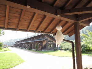 DSCN8877