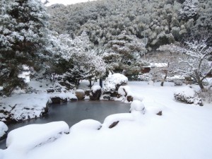 DSCN0763