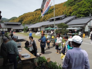 このところ祭り雨に祟られていましたが良い天気！