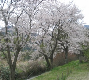 kondoh