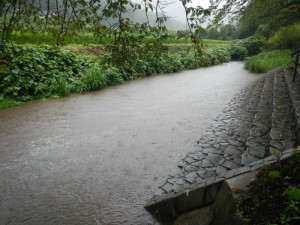 DSCN9758