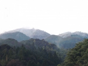 DSCN0041